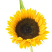 短信测压在线平台